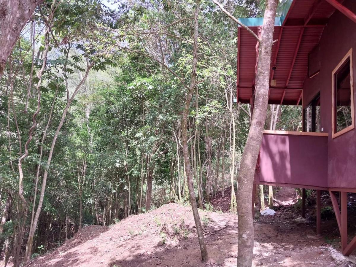 Curuba Lodge Copey Екстер'єр фото