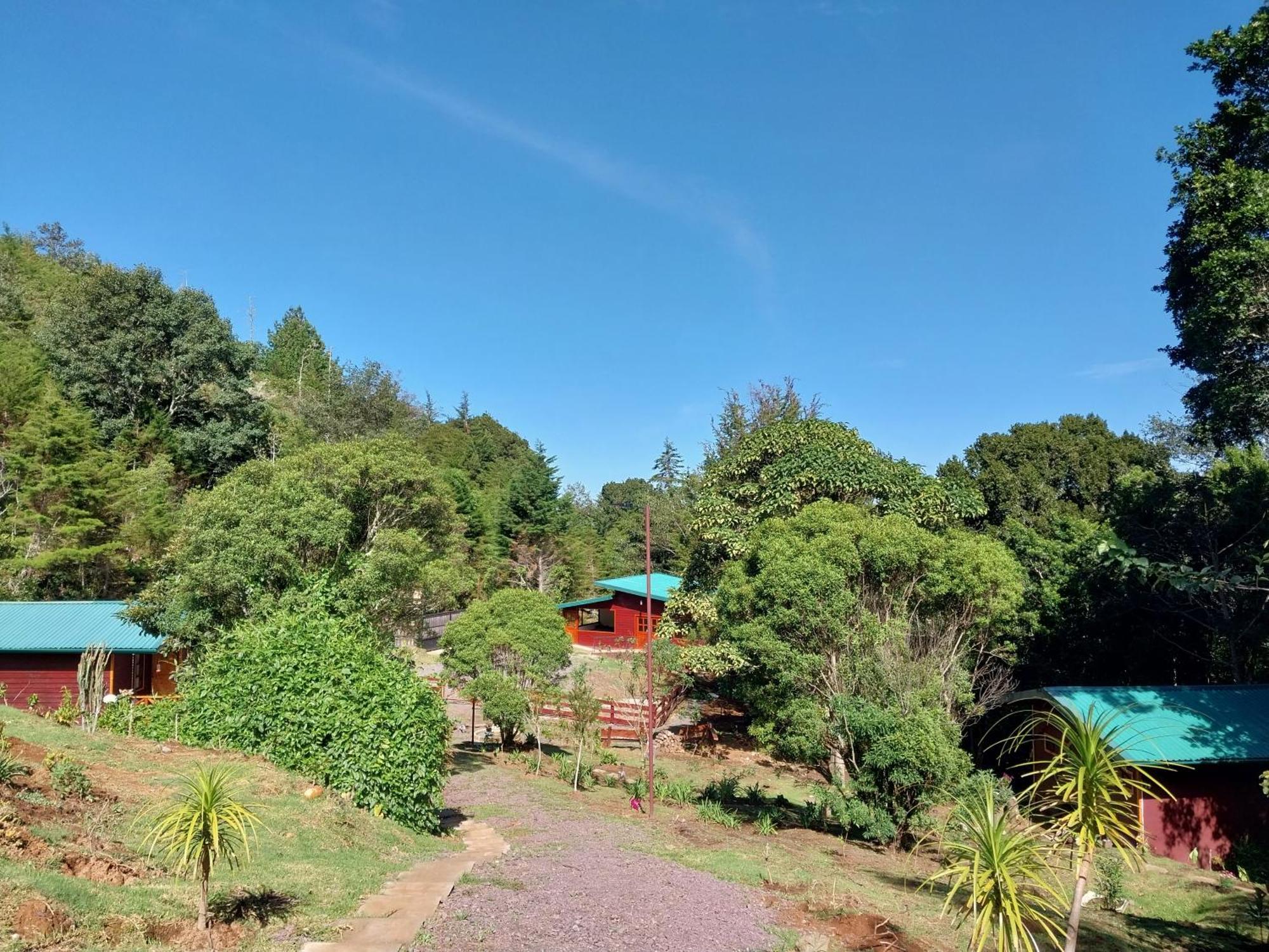 Curuba Lodge Copey Екстер'єр фото