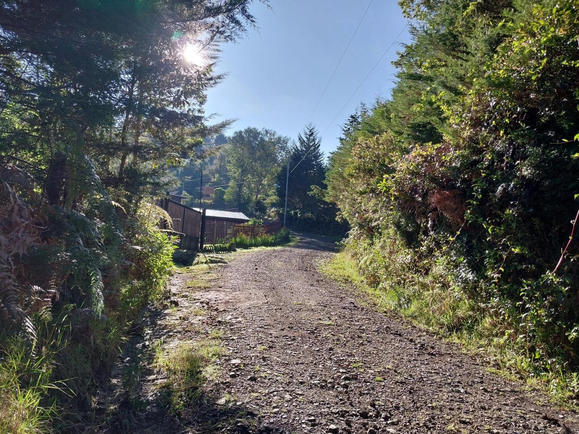 Curuba Lodge Copey Екстер'єр фото
