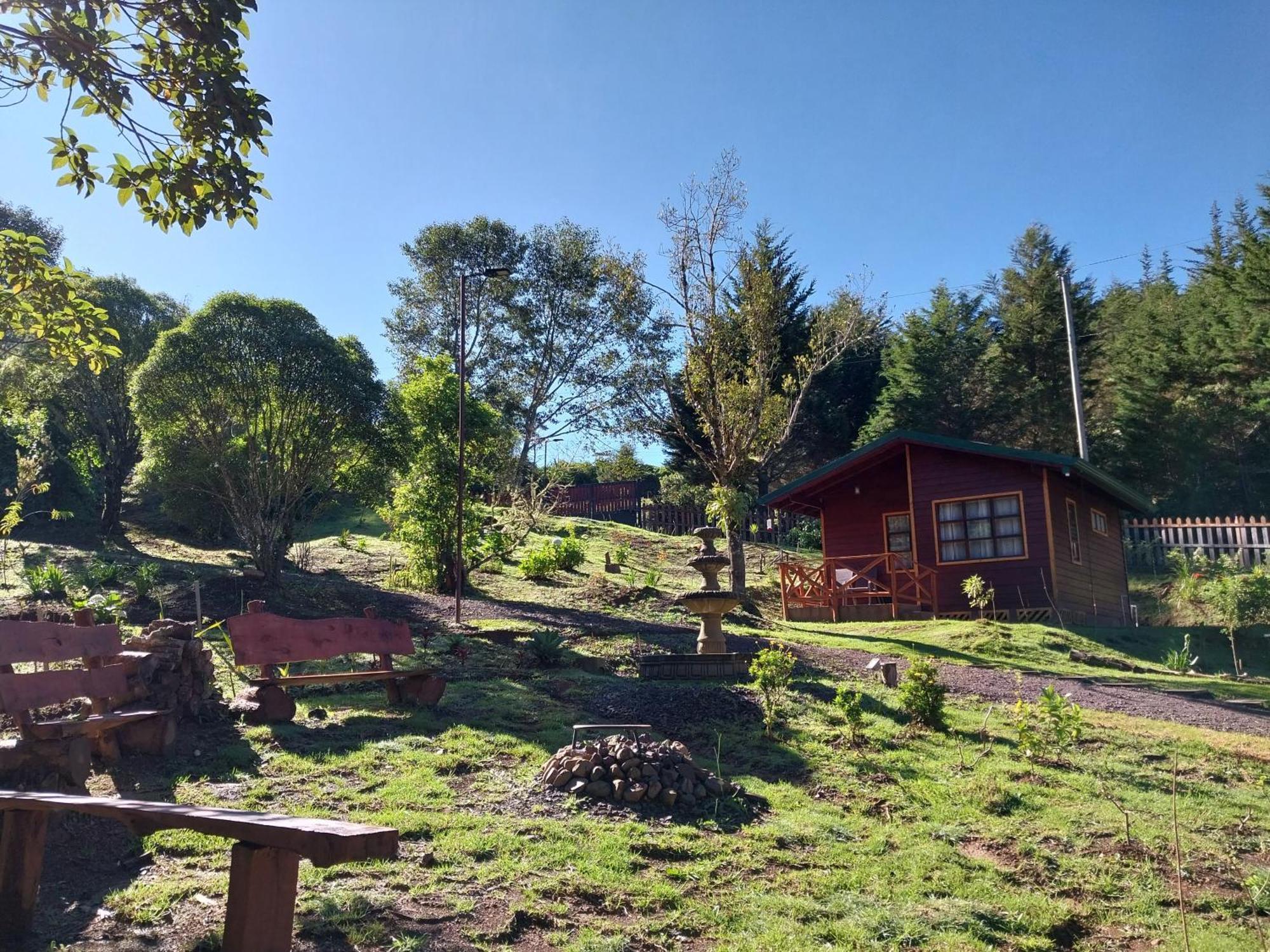 Curuba Lodge Copey Екстер'єр фото