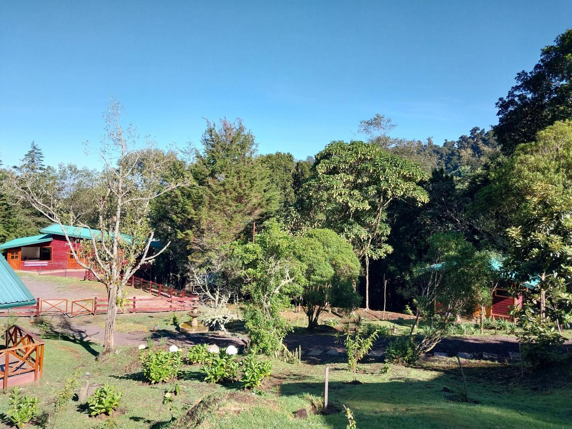 Curuba Lodge Copey Екстер'єр фото