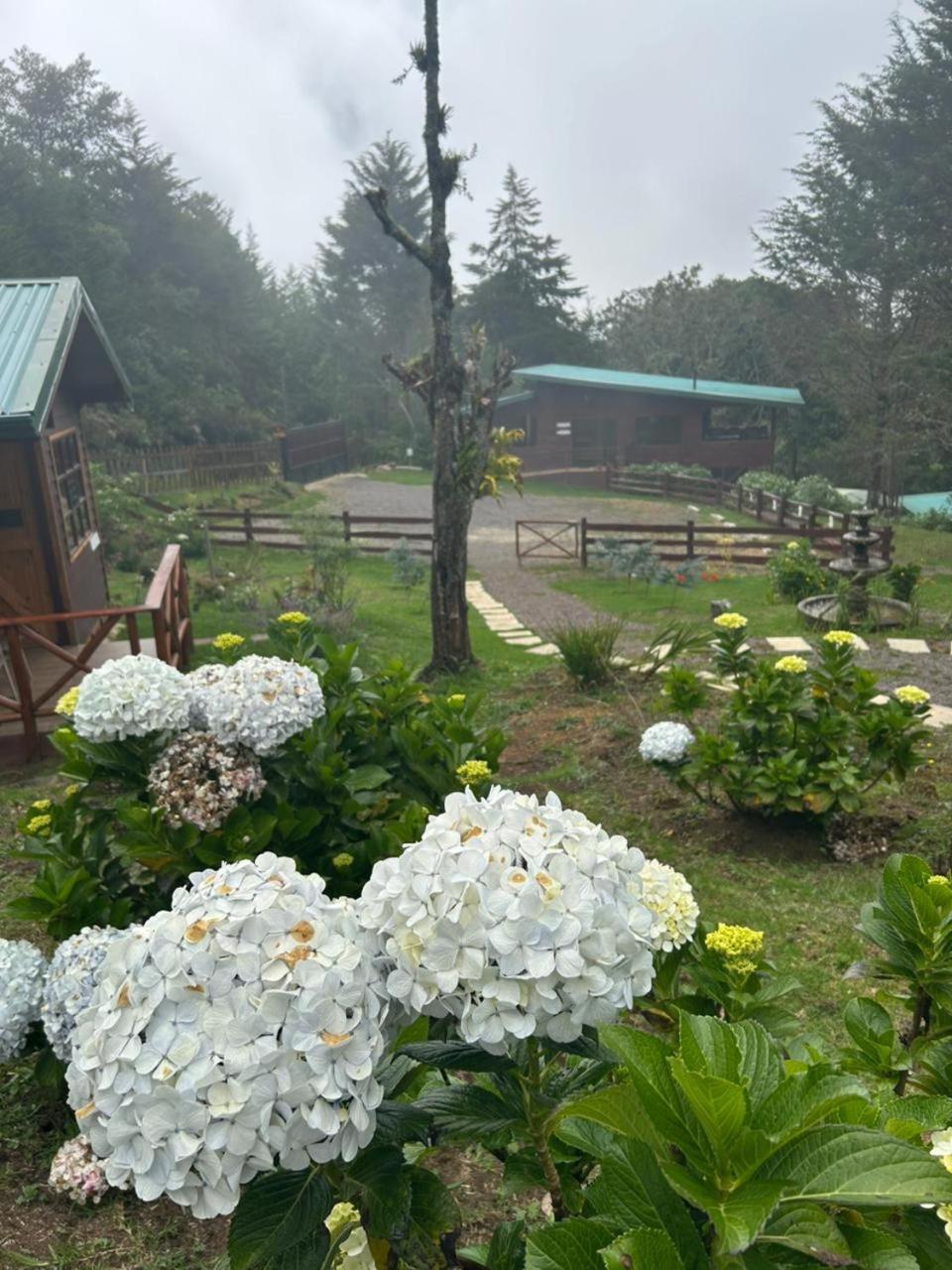 Curuba Lodge Copey Екстер'єр фото