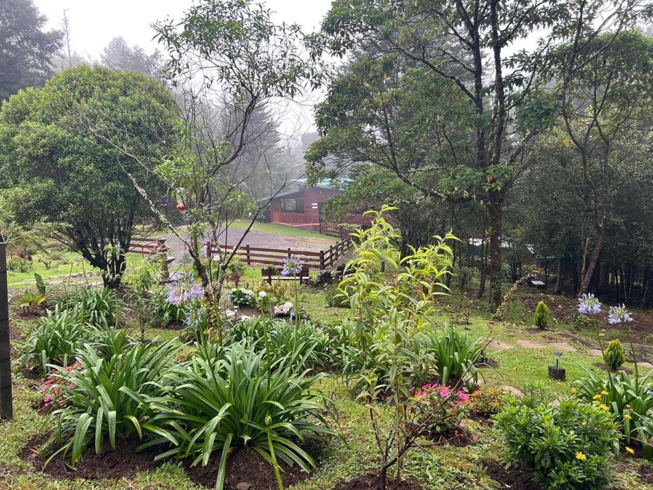 Curuba Lodge Copey Екстер'єр фото