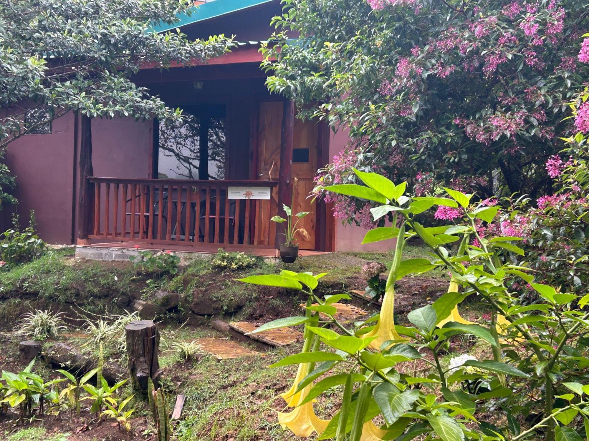 Curuba Lodge Copey Екстер'єр фото