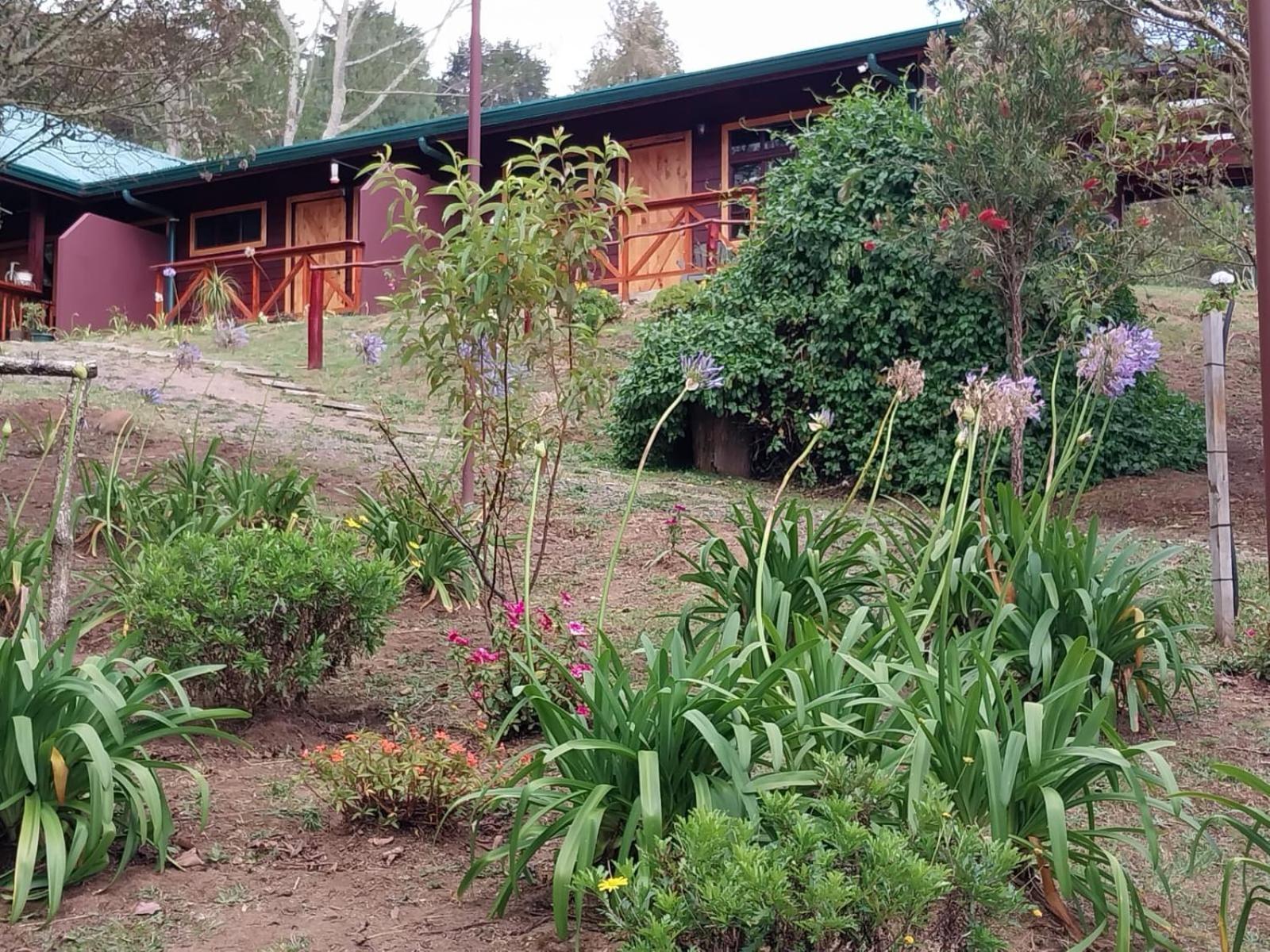 Curuba Lodge Copey Екстер'єр фото