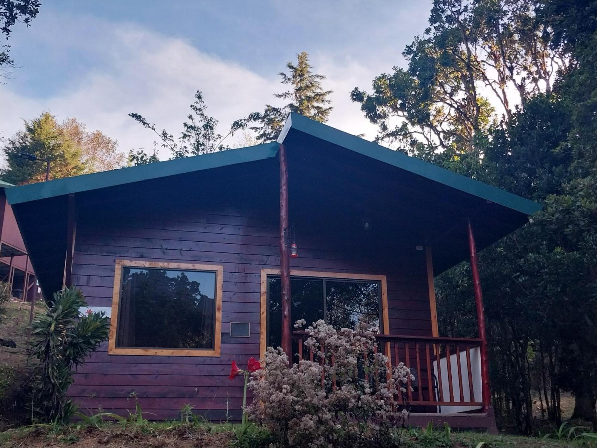 Curuba Lodge Copey Екстер'єр фото
