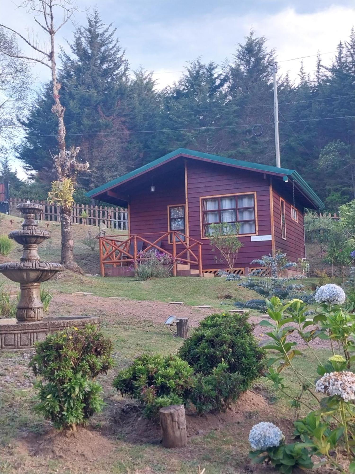 Curuba Lodge Copey Екстер'єр фото